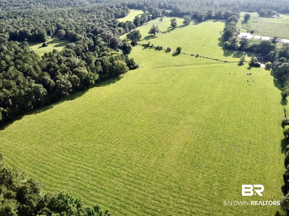 0 Old Ganey Road Stockton, AL 36579 - Photo 5 of 45