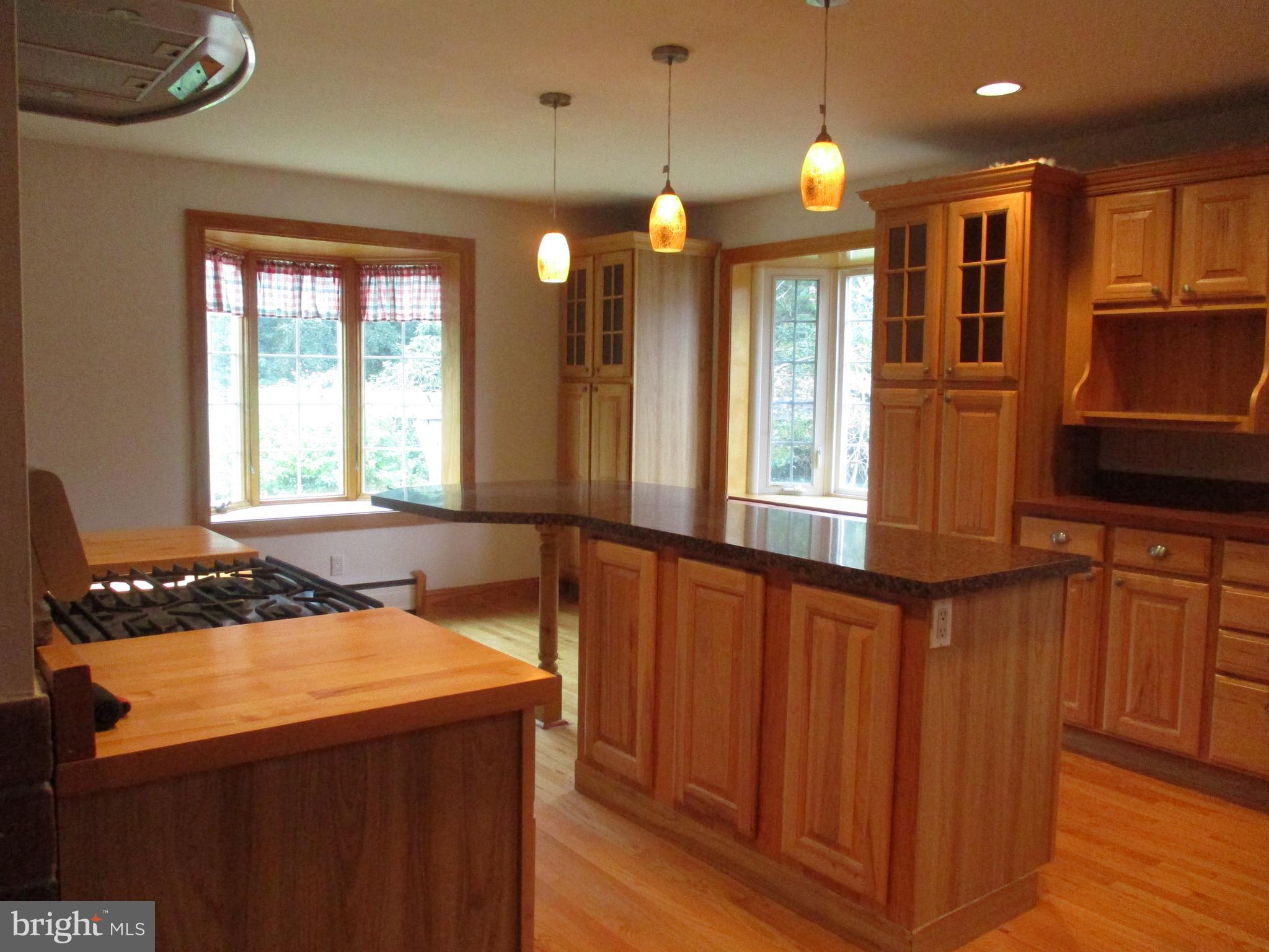 479 Oakshade Road Shamong, NJ 08088 - Photo 10 of 48 Gallery Image 10