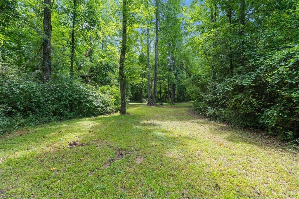 590 W Highway Roopville, GA 30170 - Photo 51 of 63