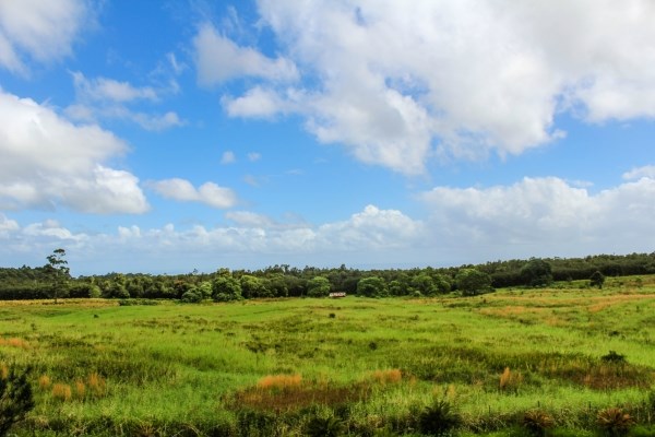 17-4695 N Road Keaau, HI 96749 - Photo 24 of 24 Gallery Image 24