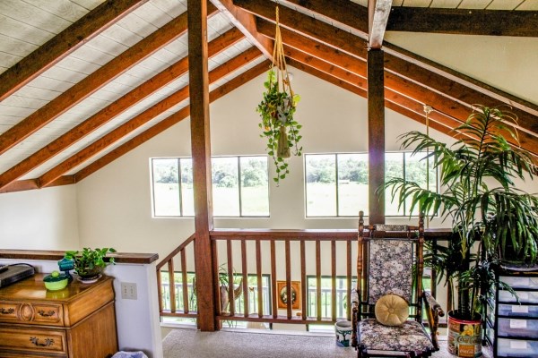 17-4695 N Road Keaau, HI 96749 - Photo 8 of 24 Gallery Image 8
