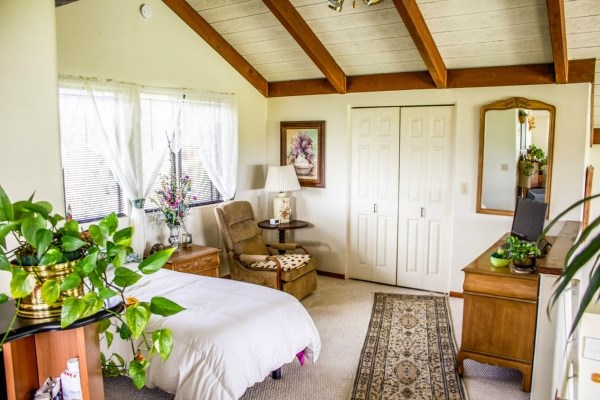 17-4695 N Road Keaau, HI 96749 - Photo 9 of 24 Gallery Image 9