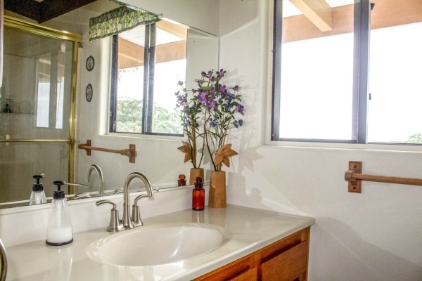 17-4695 N Road Keaau, HI 96749 - Photo 10 of 24 Gallery Image 10