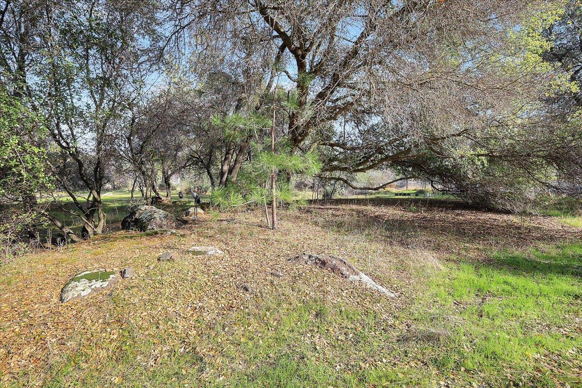 13980 Mountain House Road Penn Valley, CA 95946 - Photo 39 of 58 a view of dirt yard with a large tree