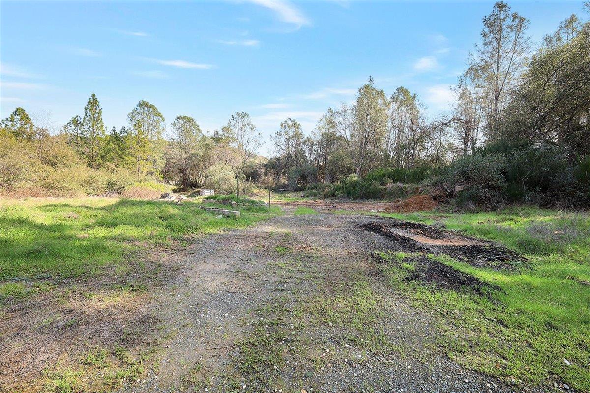 13980 Mountain House Road Penn Valley, CA 95946 - Photo 43 of 58 a view of a field with trees in background