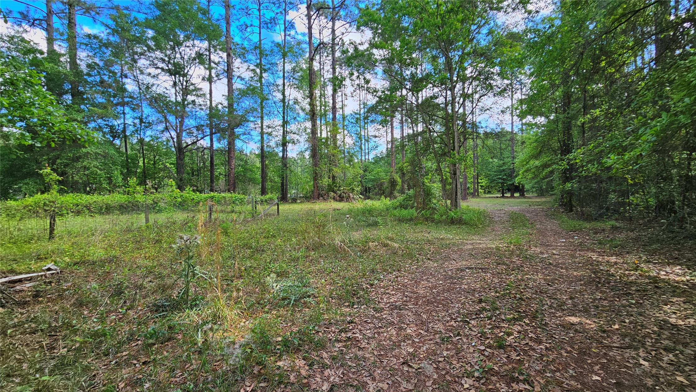 6324 Lannie Road Jacksonville, FL 32218 - Photo 38 of 60
