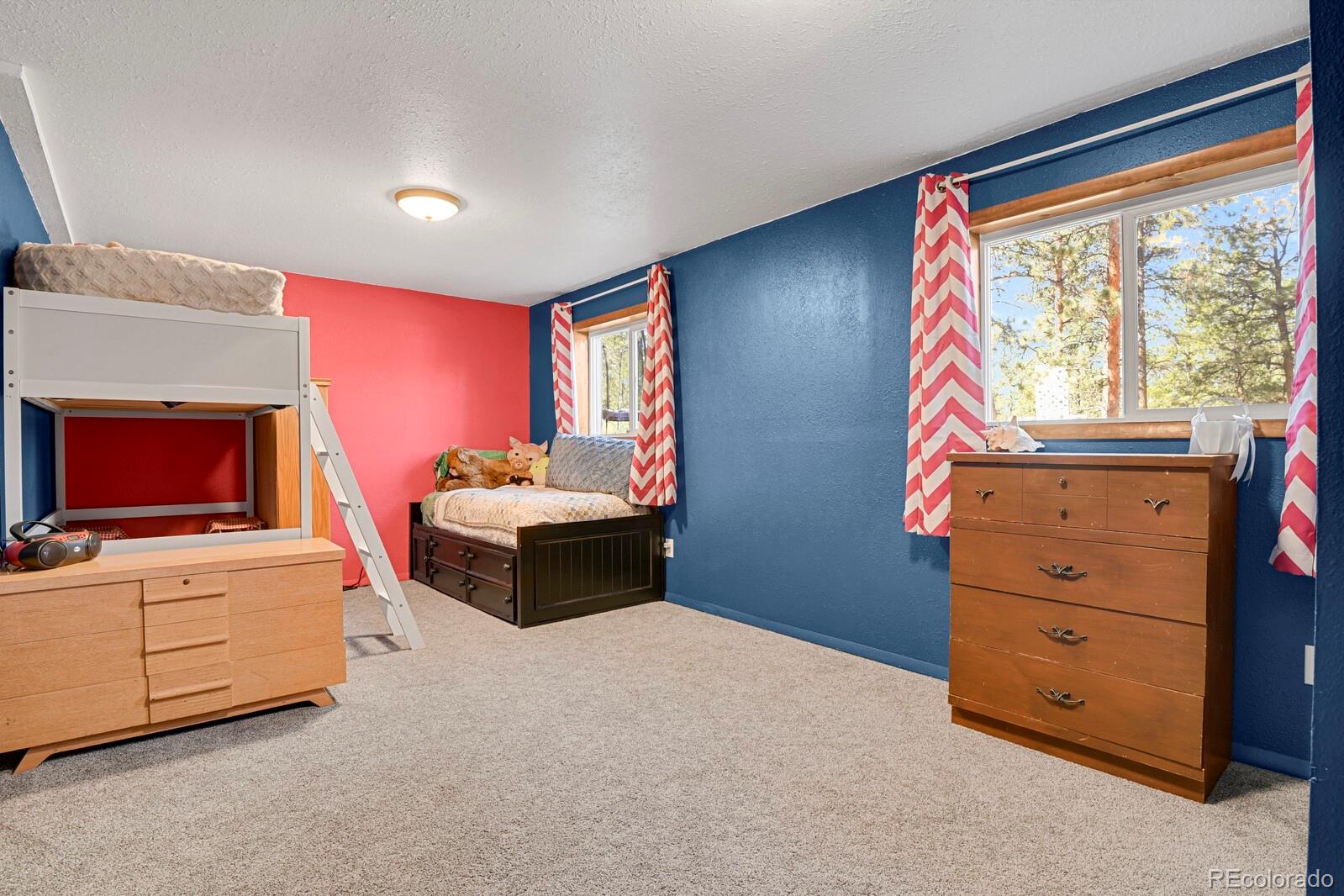 881 Trail Creek Road Lake George, CO 80827 - Photo 29 of 46