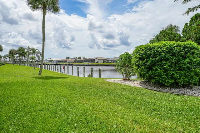 a backyard of a house with plants and palm tree
