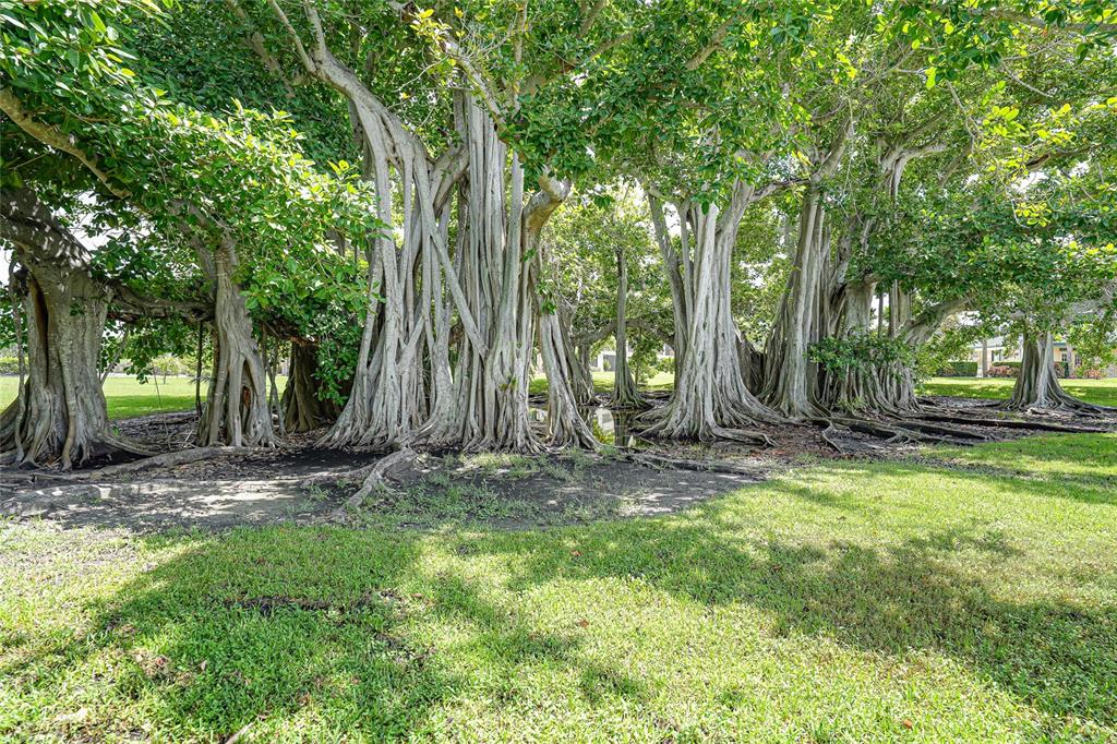 601 Shreve Street, Unit 16A Punta Gorda, FL 33950 - Photo 5 of 52 a backyard of a house with lots of green space