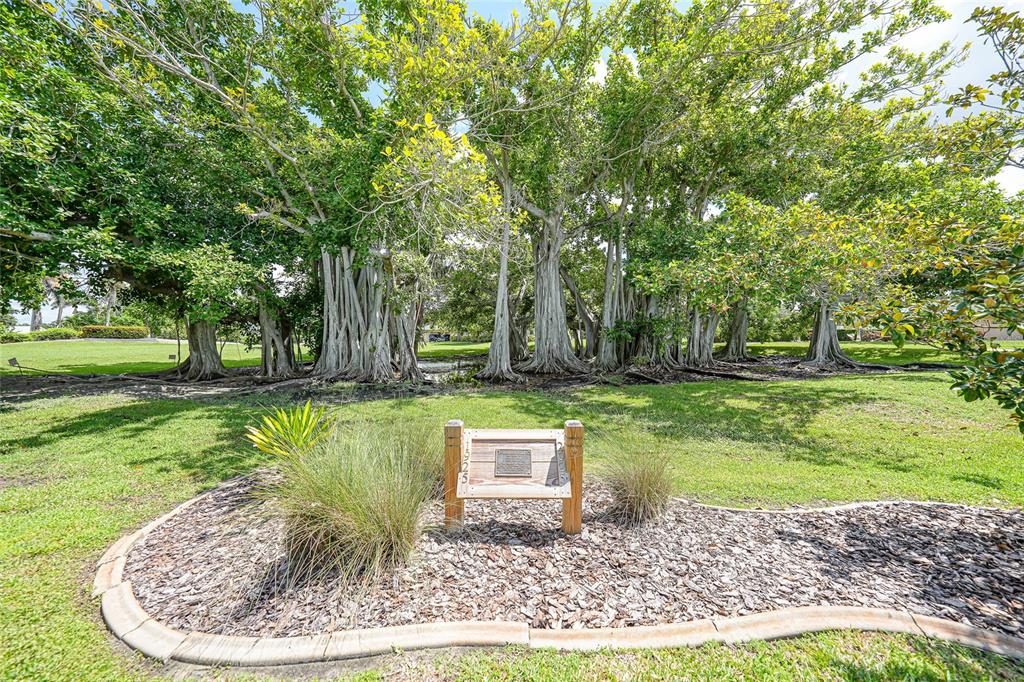 601 Shreve Street, Unit 16A Punta Gorda, FL 33950 - Photo 6 of 52 a view of a garden with trees