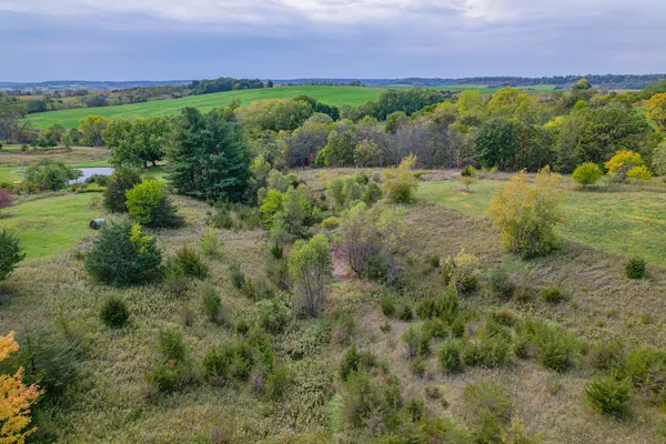 a view of a yard with an trees