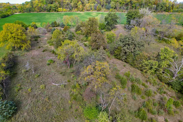 a view of a road with a yard