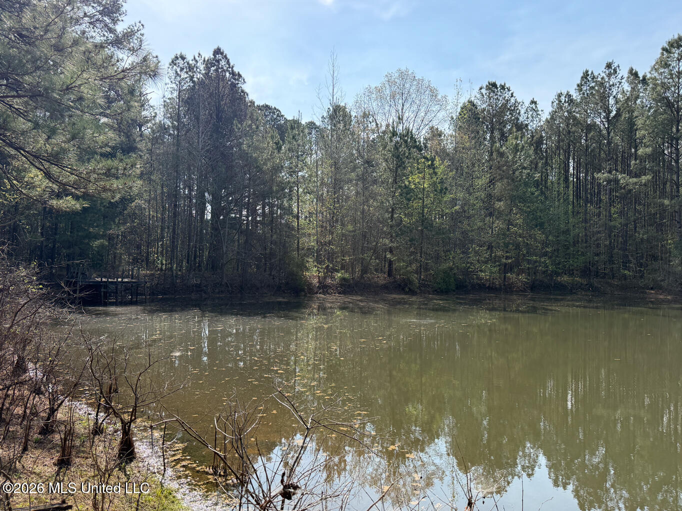 2893 Truesdale Road Carthage, MS 39051 - Photo 16 of 23 Leake 33-33