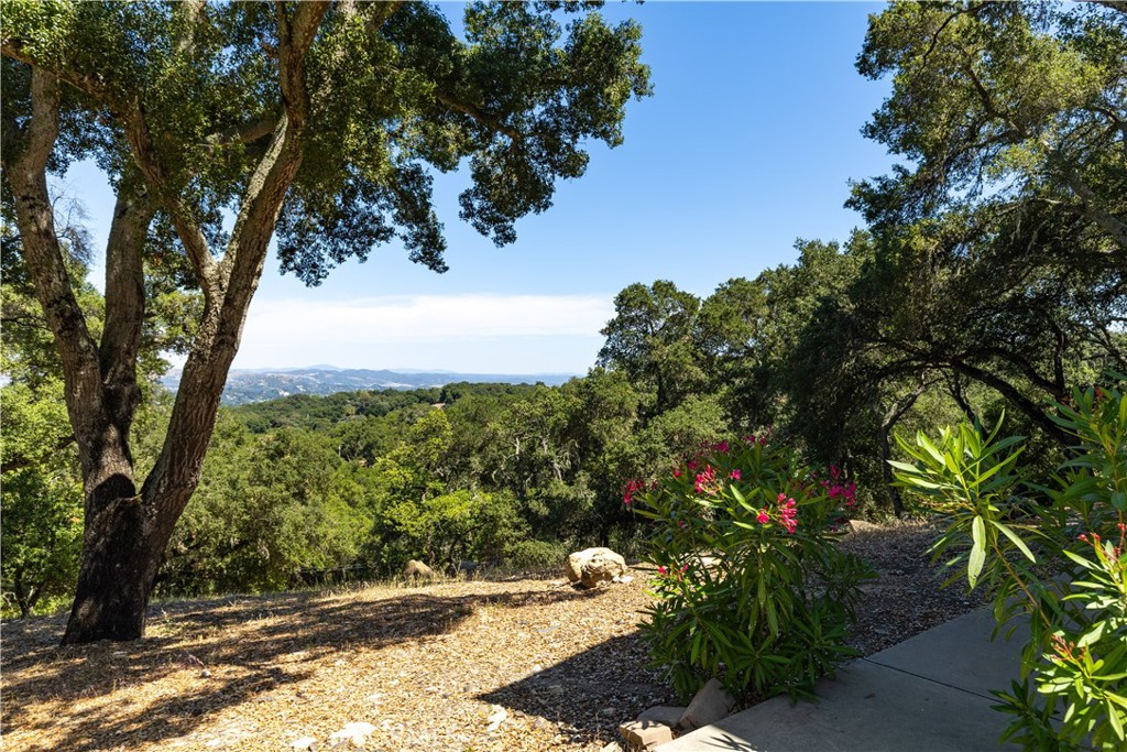 2570 Alturas Road Atascadero, CA 93422 - Photo 14 of 64