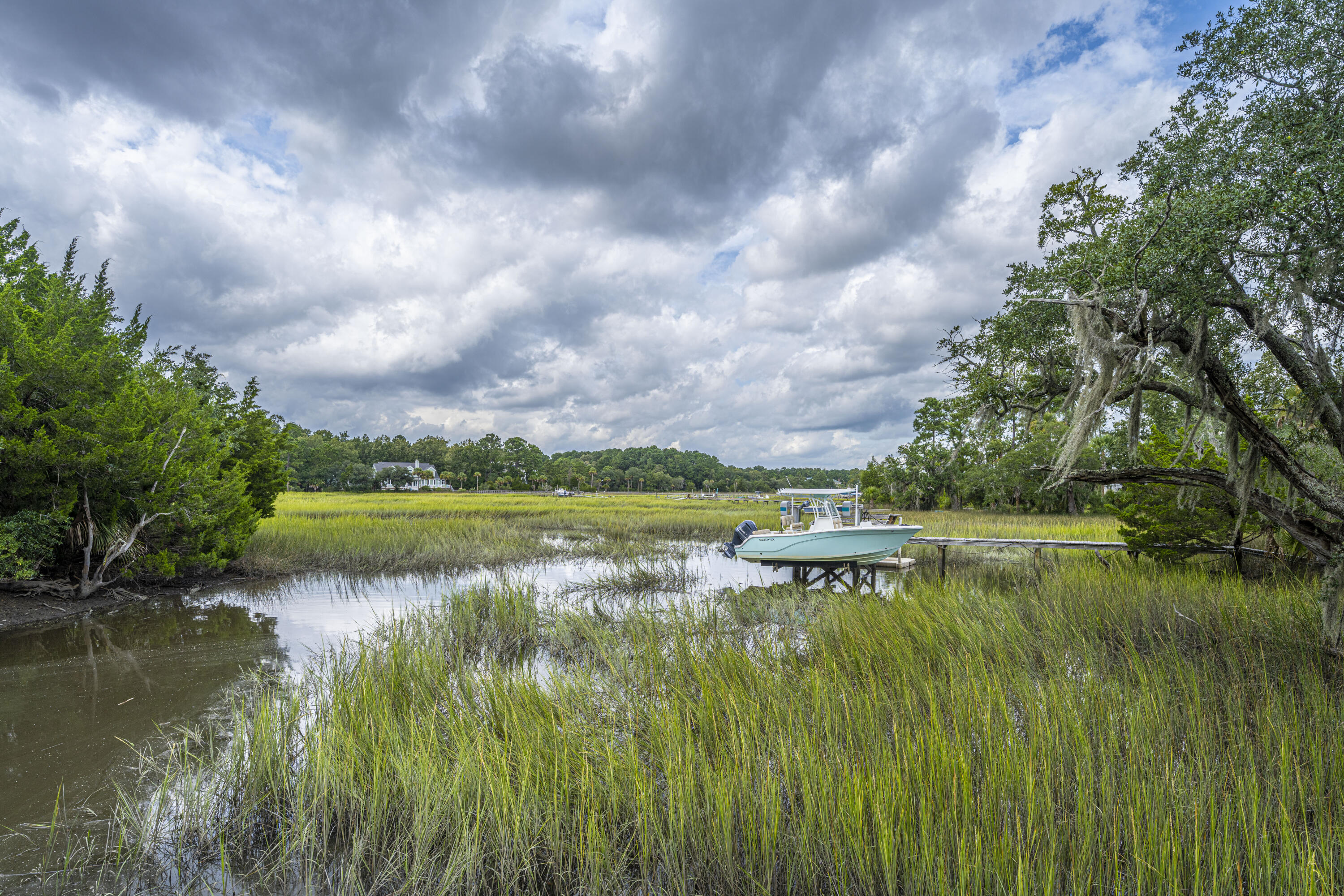 2012 Ashburton Way Mount Pleasant, SC 29466 - Photo 31 of 83 2012AshburtonWay70