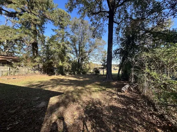 a view of a yard with plants and trees