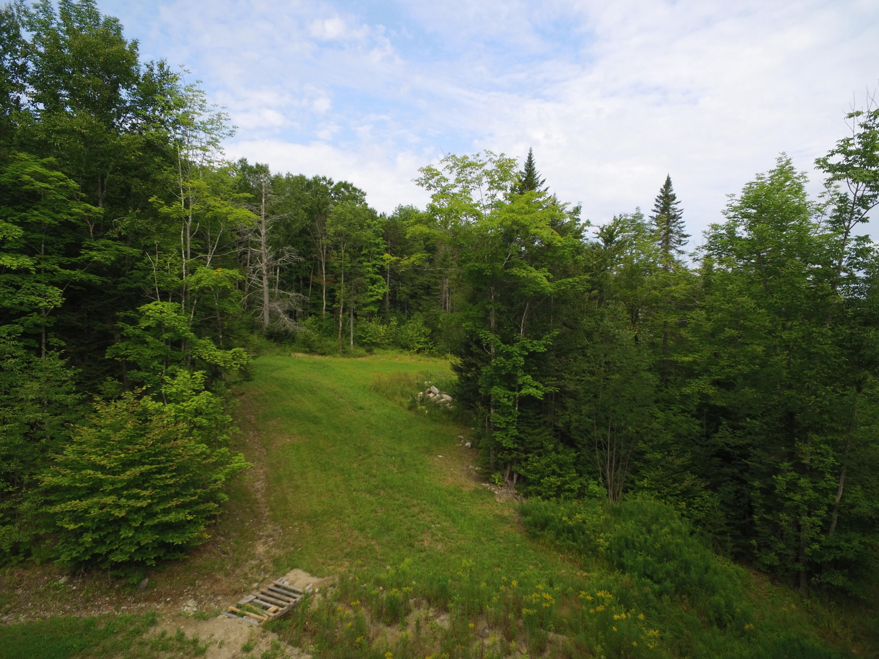 Tbd Brown Road Carroll Plt, ME 04487 - Photo 7 of 12 DJI_0181