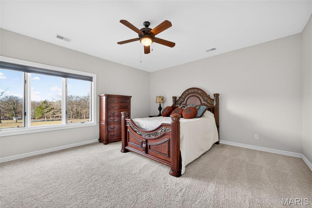 27499 Franklin Road Wright City, MO 63390 - Photo 42 of 99