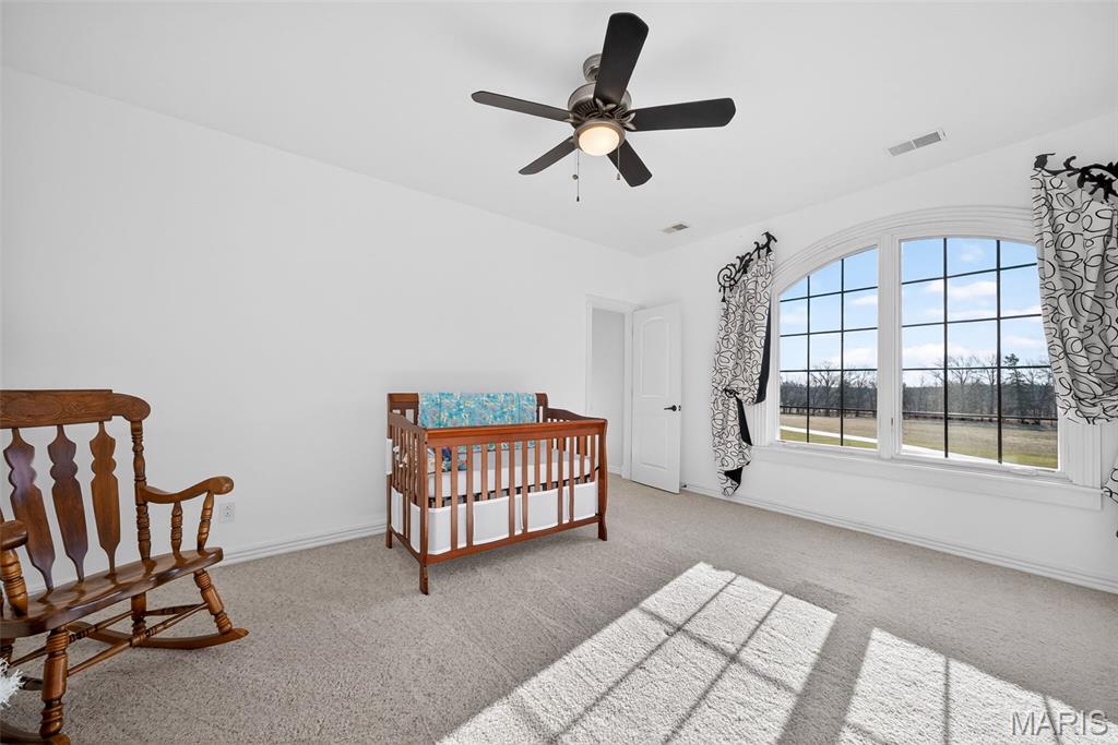 27499 Franklin Road Wright City, MO 63390 - Photo 45 of 99