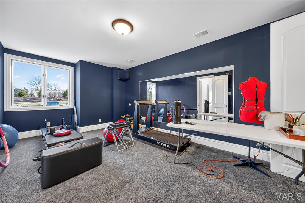 27499 Franklin Road Wright City, MO 63390 - Photo 55 of 99