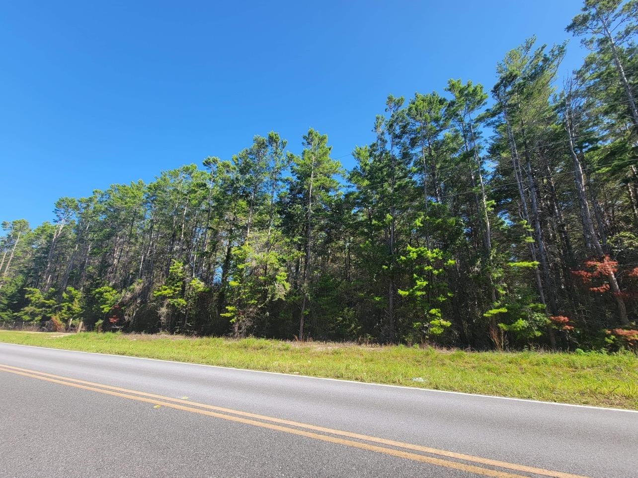 0 Sea Meadows Road Perry, FL 32348 - Photo 3 of 3 Gallery Image 3