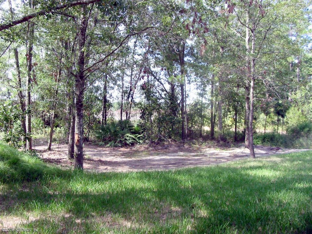 270 Chaffee Road North Jacksonville, FL 32220 - Photo 11 of 13 Back Yard