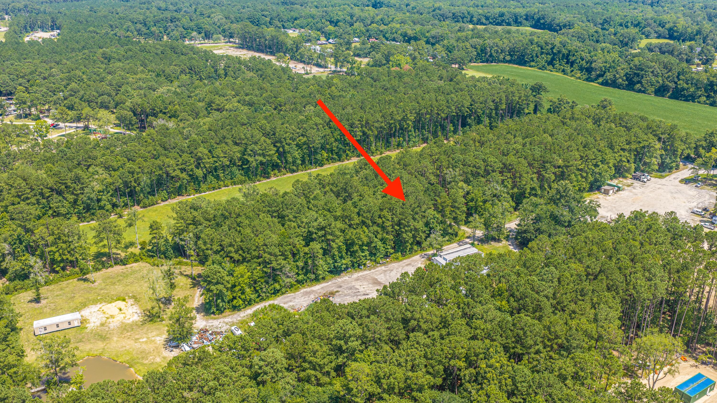 197 County Rd S-18-182, Unit LOT 2 Ridgeville, SC 29472 - Photo 9 of 30 197MyersMayoLot2_025
