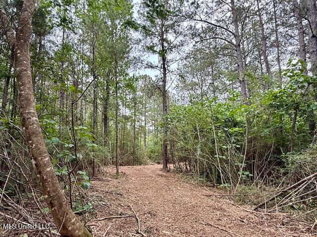 Mt Herman Road Osyka, MS 39657 - Photo 14 of 53 IMG_5382
