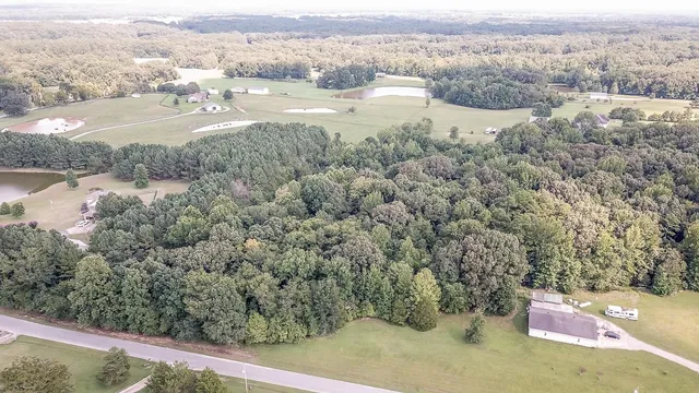 a view of a lake with a mountain