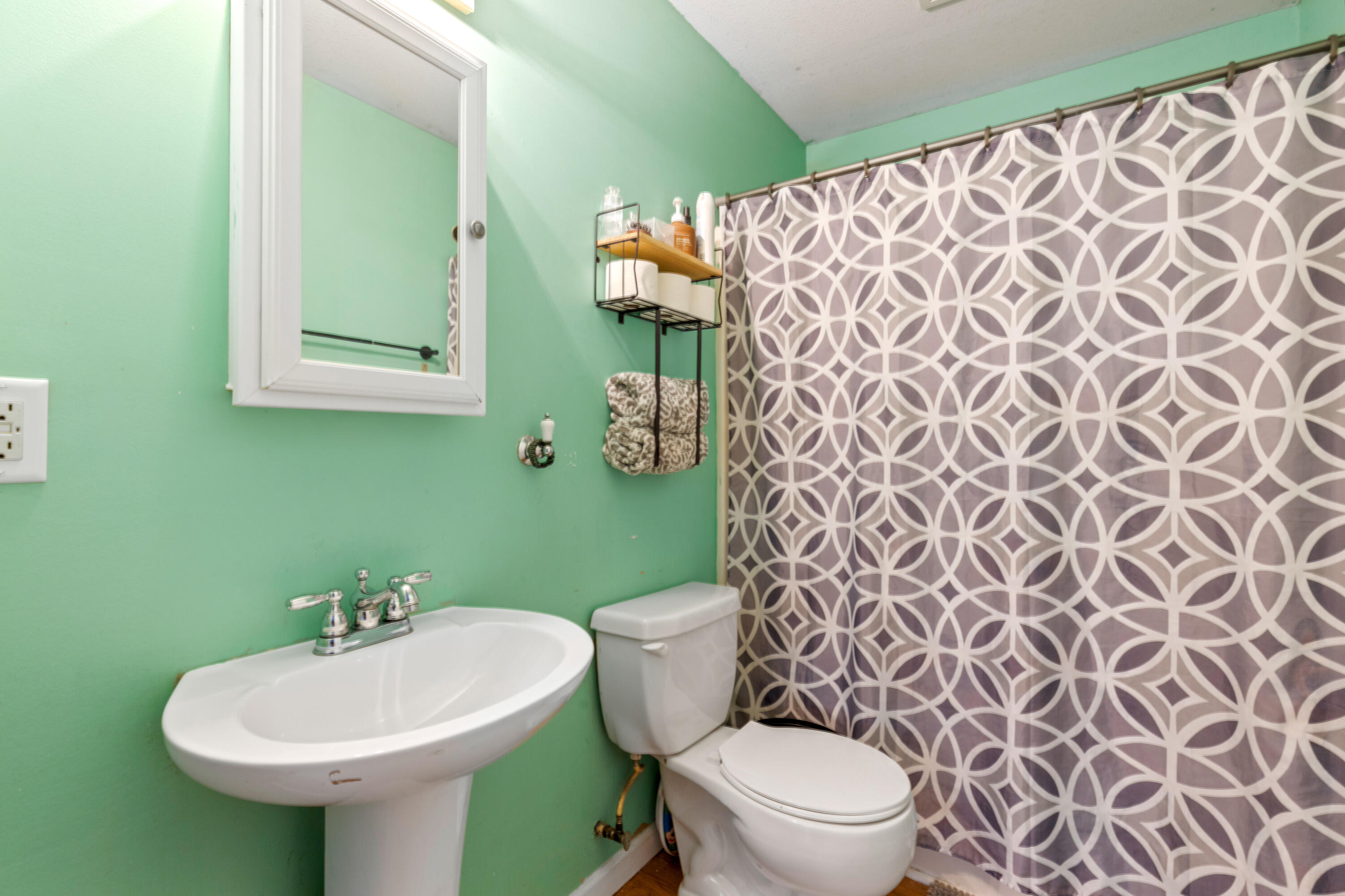 90 Illuminary Firetower Road Spring City, TN 37381 - Photo 12 of 18 SummerCity-32