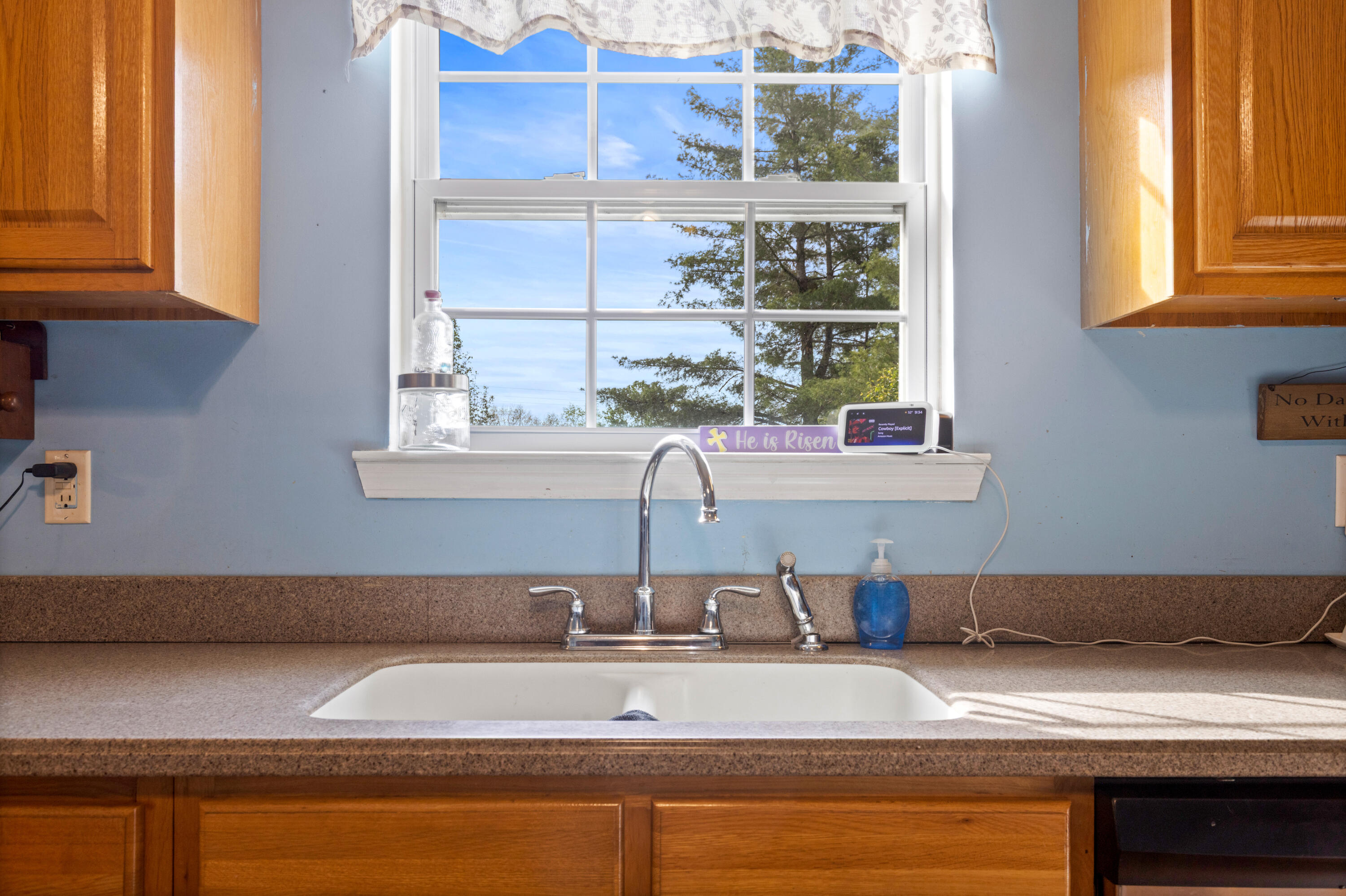 90 Illuminary Firetower Road Spring City, TN 37381 - Photo 9 of 18 SummerCity-27