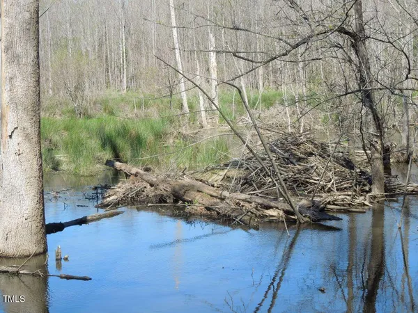 a view of a hardwood floor and a sink