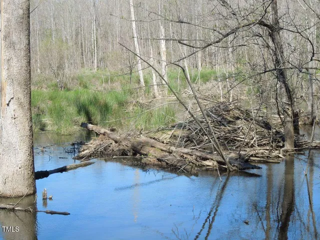 a view of a hardwood floor and a sink