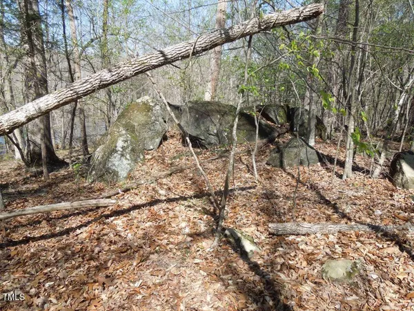 a view of a yard with trees