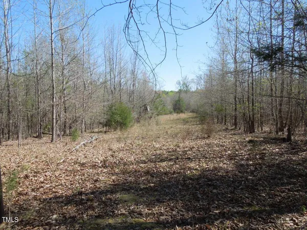 a view of backyard with green space