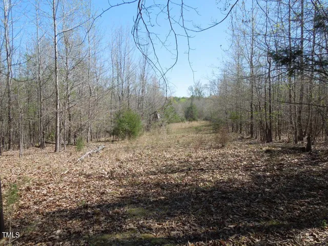 a view of backyard with green space