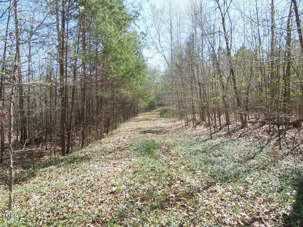 a view of a yard with a trees