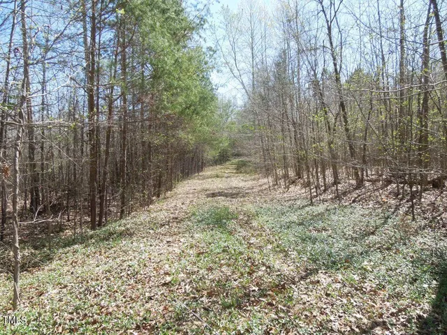 a view of a yard with a trees