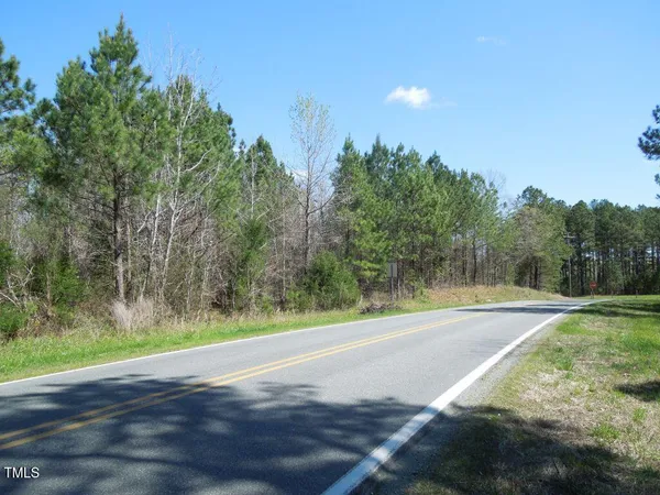 a view of a yard with a plants and trees in the background
