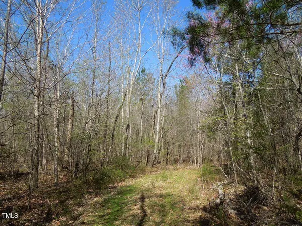 a view of small yard