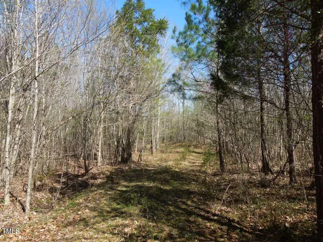 a view of outdoor space with trees