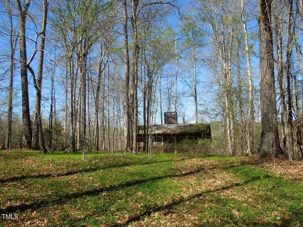 a view of a backyard with large trees