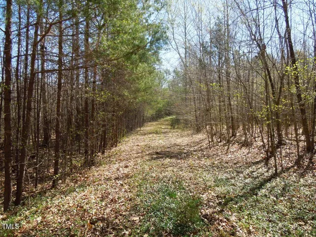 a view of a yard with large trees