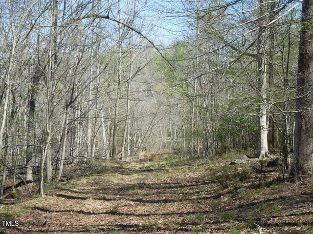 a view of outdoor space with green space