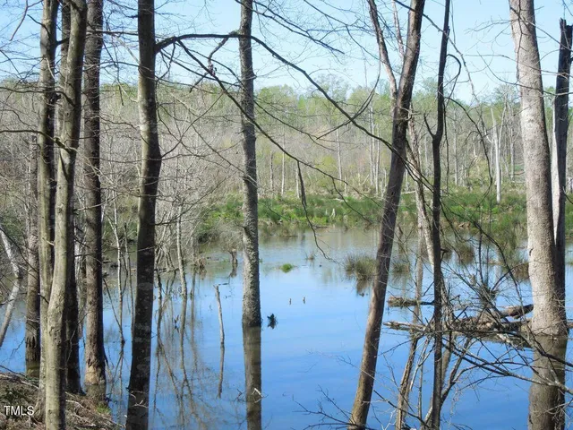 a view of a yard of the house