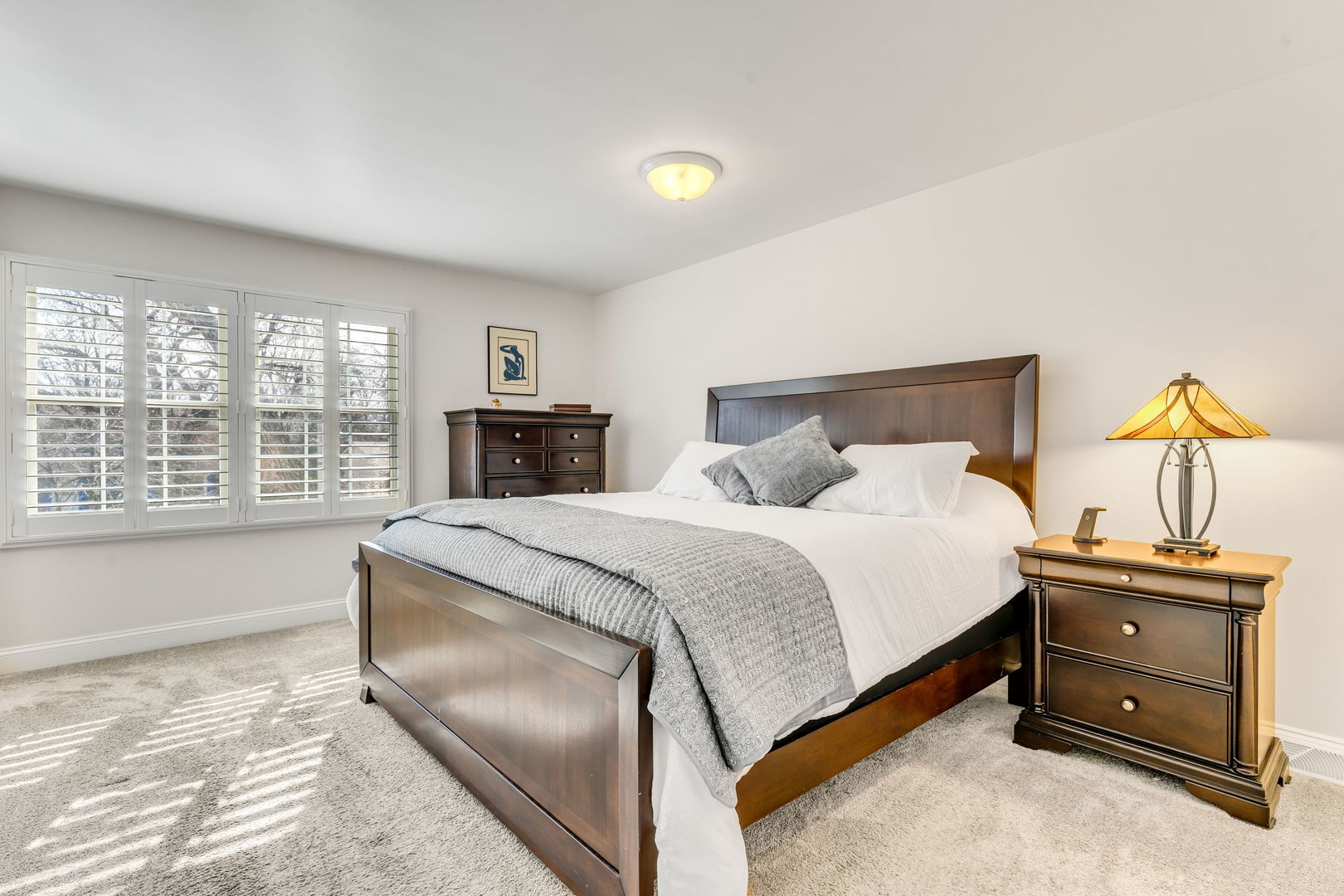 321 Carriage Hill Road Naperville, IL 60565 - Photo 16 of 28 Gallery Image 16