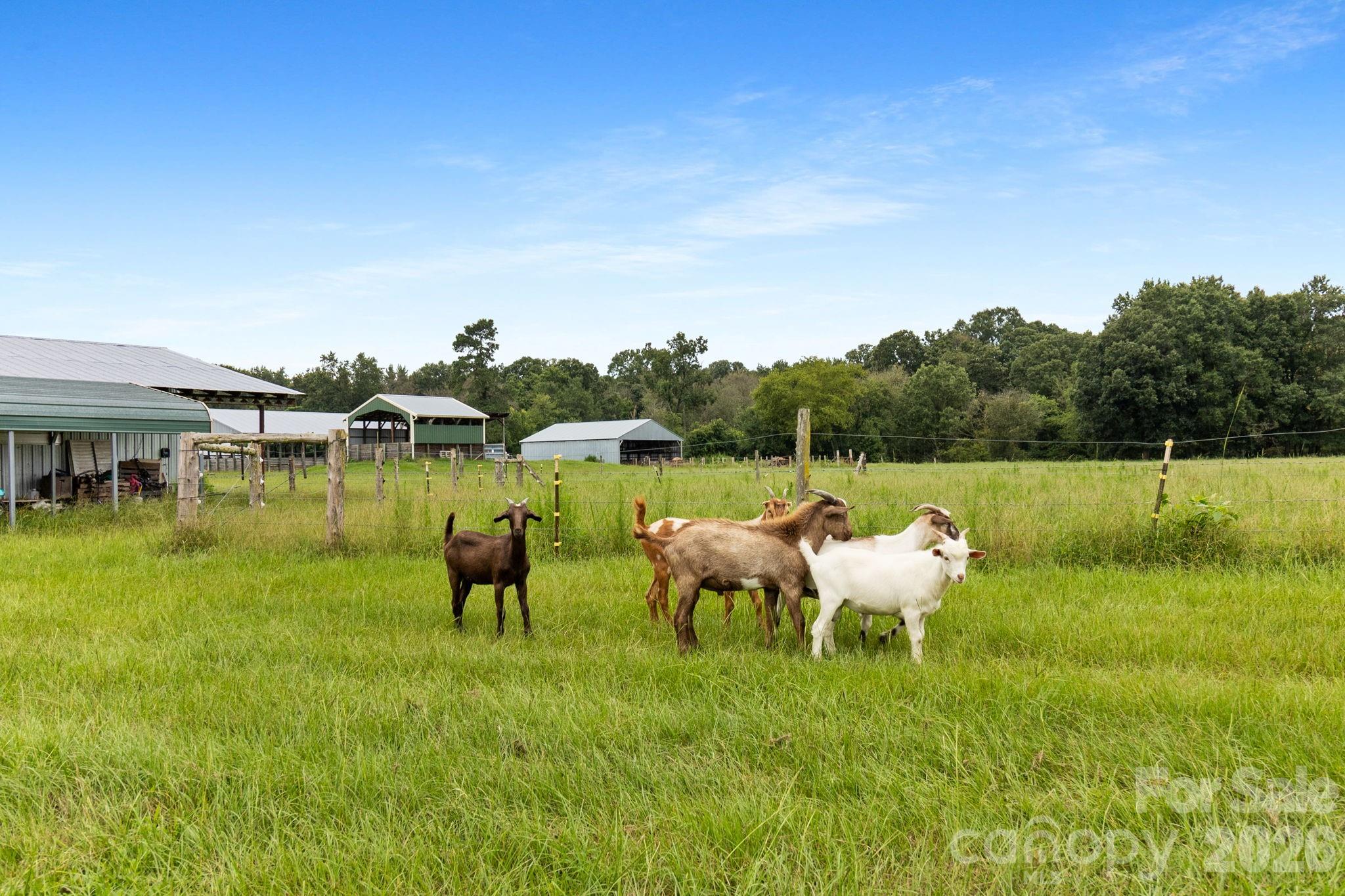 1333 Bunnlevel Erwin Road Bunnlevel, NC 28323 - Photo 26 of 28 Gallery Image 26