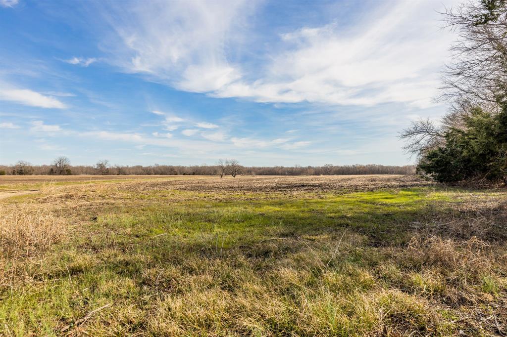 904 Pecan Gap Tx 75469, Ladonia, TX 75449 Compass