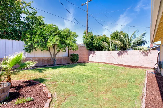 a view of a backyard with plants and a patio