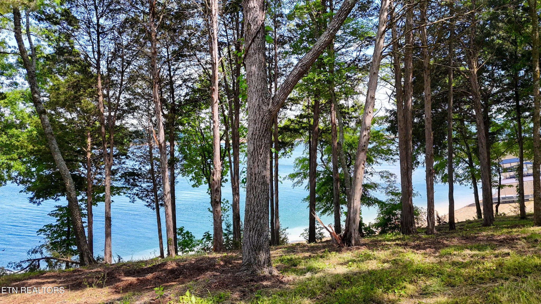 122 Ridge Point Trail Dandridge, TN 37725 - Photo 22 of 33